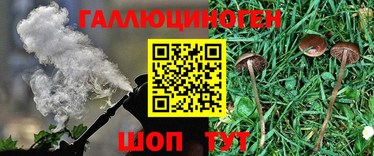 Псилоцибиновые грибы мицелий Сызрань